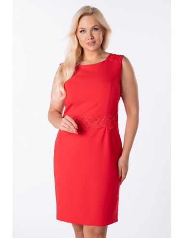 Plus size sheath dress with embroidered neckline on the back