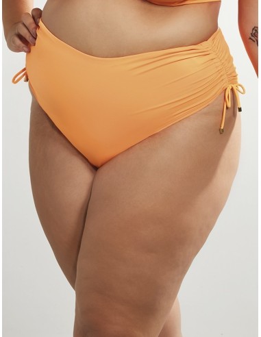 Plus Size Bikini High Containment Swimwear Briefs - Krisline MALIBU