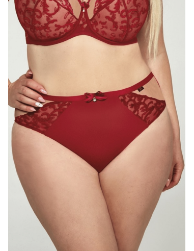 Classic Plus Size Panties with High Sight and Tulle and Lace Inserts - Krisline CLARISA