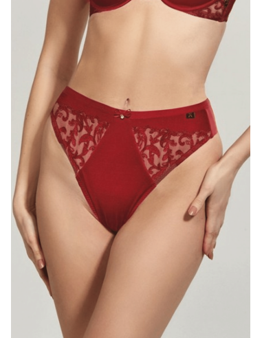 Plus Size Underpants with Lace Inserts - Krisline CLARISA