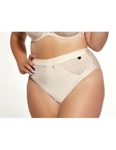 Plus Size High Waist Underpants with Classic Cut - Krisline ROSEE