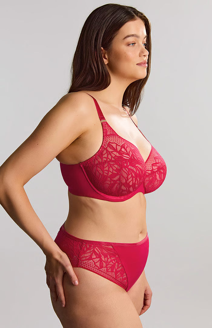 Reggiseno con Coppe Morbide Intere e Ferretti - PANACHE SOPHIA
