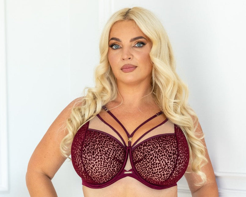 Mutanda Donna Con Taglio Classico a Vita Media - KRISLINE MERLOT