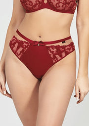 Mutande Taglie Forti Con Inserti in Tulle e Pizzo - Krisline CLARISA